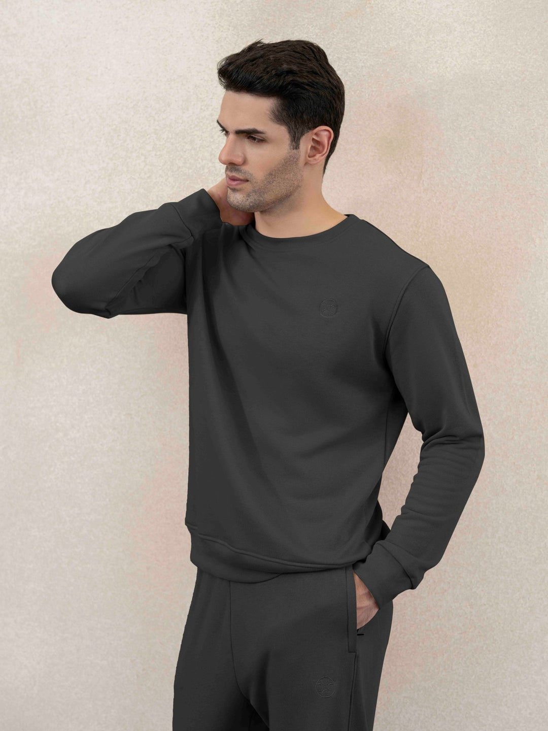 Terry Crew Sweatshirt - Aurorafits Official